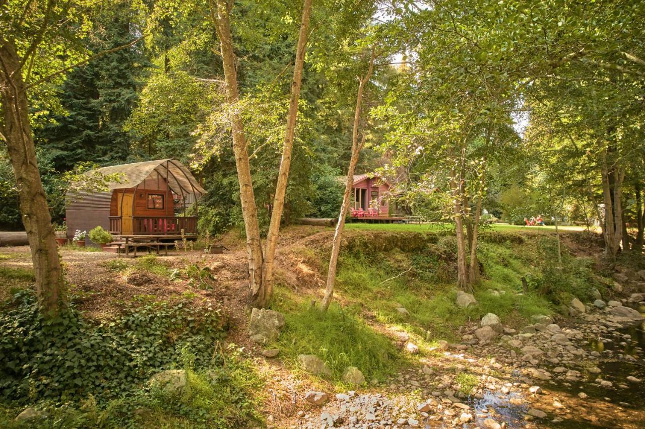 Big Sur Campground And Cabins Kültér fotó